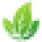 CleanPNG