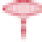 国际小姐