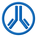 WizFile