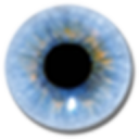 Visuwords