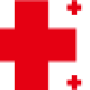 中国红十字基金会