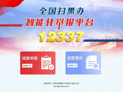 全国扫黑办智能化举报平台