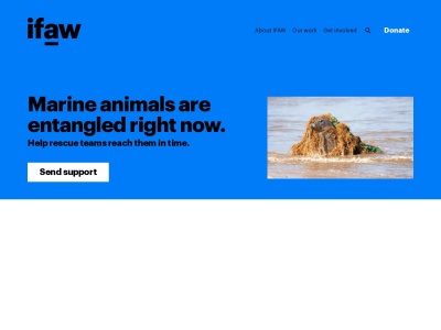IFAW
