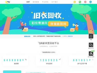 飞蚂蚁