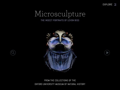 Microsculpture