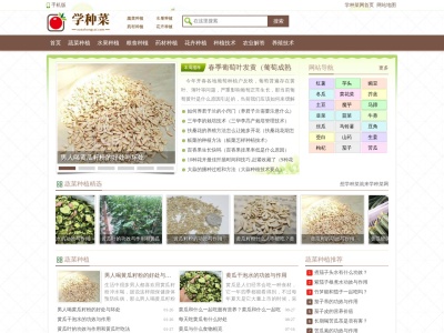 学种菜网