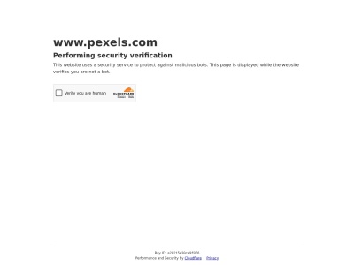 Pexels