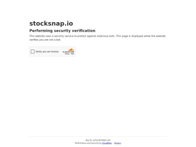 StockSnap