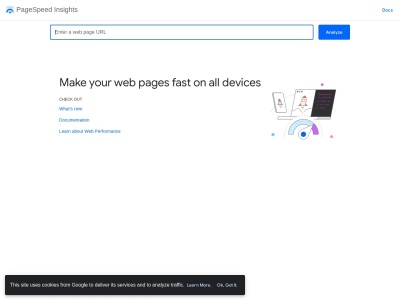 PageSpeed Insights