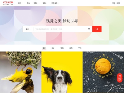 VCG 供稿人