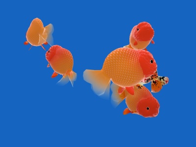 Goldfishies