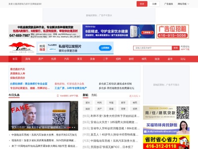 约克论坛