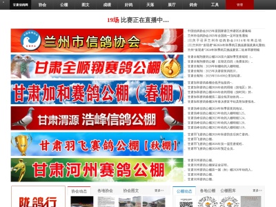 甘肃信鸽网